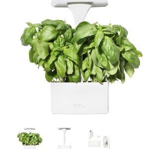 *FREE SHIPPING* Short Stories LED Indoor Planter